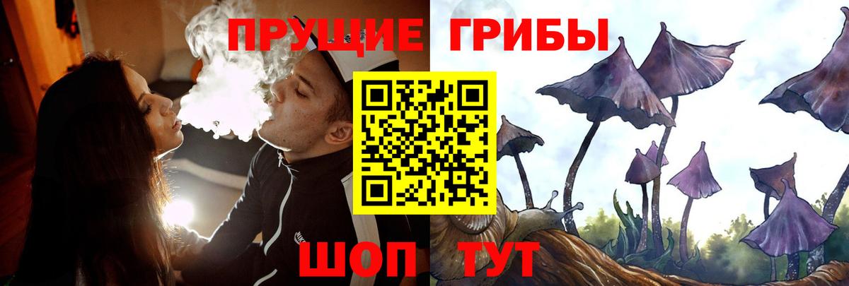 Мариинск  Псилоцибиновые грибы мицелий  что такое наркотик  Вход с VPN  Псилоцибиновые грибы MAGIC MUSHROOMS 